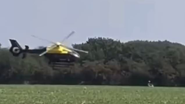 Police helicopter swoops scarily close to ground in motorbike chase post thumbnail image