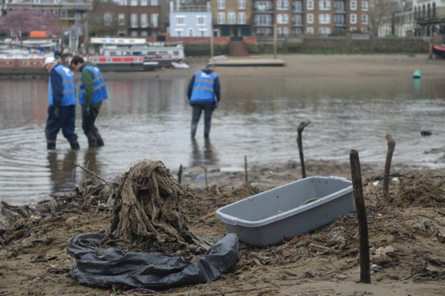 Massive clean-up effort aims to pull 180 tons of wet wipes from River Thames post thumbnail image