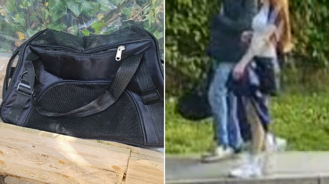 A boy and girl, both aged 17, have been detained for the 'sadistic' torture and killing of two kittens which were found cut open in a wooded area in north-west London. There was no reaction from the boy as he stood in the dock at London's Highbury Corner Youth Court and was handed a 12-month detention and training order. The girl, who was sentenced separately on Monday, received a nine-month detention and training order. The boy had dreamed of killing a human and 'getting away with murder' while there were sinister items on the girl's mobile phone of mutilated pets and she had a fascination with dead human bodies, the court heard. District judge Hina Rai told the girl: 'It is not clear who took the lead but from what I have read you were both equally responsible. 'Without a doubt these are the most awful offences against animals I have seen in this court.' The kittens were found with ropes attached to them and had been cut open near Ickenham Road, Ruislip, on May 3. A member of the public who found them warned another passerby not to go down the footpath because 'there is something horrific down there'. The teenagers, who cannot be named for legal reasons, had pleaded guilty to causing unnecessary suffering to the protected animals by mutilating and killing them. They each also admitted one count of possession of a knife at Ruislip Golf Course. A small black kitten was found hanging from a red rope and was completely ripped open and with its eyes bulging out, the court heard. The other kitten was on the ground with ropes attached. Both kittens were dead and there were pieces of flesh and fur which appeared to have been burned off them. Knives, blowtorches and scissors were also found at the scene. Earlier a passerby had seen the boy holding a black animal carrier with netting at the end which was 'moving slightly as if something live was inside it,' the court heard. The pair were later chased by a concerned member of the public who took photographs which helped identify them. CCTV images were also released and the police appealed for information to find them. In sentencing the judge told the boy that his actions were 'extensively planned' from sourcing the kittens to purchasing equipment and were 'clearly premediated'. The judge told him: 'You said sorry in your (police) interview but reports also show that you struggle to show empathy and realise that the kittens would suffer.' She added: 'It seems you chose the kittens because they have emotion and you would have power over them.' Notes on the boy's telephone detailed his desire to get away with murder, which said: 'I really wanted to murder someone. 'Every day I was researching how to get away with murder. 'I have come close. I have killed cats to reduce my urges. 'I have skinned, strangled and stabbed cats.' The boy, who may have ADHD and autism which has yet to be diagnosed, was described by the judge as a 'bright, articulate, and capable young person but this is a deeply shocking and concerning case'. He also looked up satanic cat sacrifices and had a video of a man being beheaded. The judge told the girl she had 'the potential for a bright future which makes this case shocking and extremely concerning'. The girl had accepted she had been 'cold and cruel' in her actions but this came after she had 'distanced' herself from the offences. The judge added: 'It was clearly premediated and there was evidence you may have been the instigator and more willing to cause the kittens suffering for attention from the mental health agencies.' The girl had placed messages on Gumtree to buy three kittens because 'she did not want them to be lonely', the court heard. In the months before the killings the girl, who was described as having a borderline personality disorder, had downloaded images of badly mutilated kittens. Earlier prosecutor Valerie Benjamin told the court the boy's actions 'showed a degree of planning in terms of looking for animals and researching in terms of killing animals and his desire to go on to killing humans and how it would be to get away with murder and killing a homeless person'. The horrific scenes were not a 'spur of the moment' event but involved planning in 'finding the animals, taking them to a public place and killing them in such a sadistic manner'. The boy admitted his role in the animal cruelty during his police interview. Ms Benjamin also told the court: 'He gave a prepared statement saying he was sorry for what he had done and took responsibility saying he was in a bad state of mind. 'He said he suffered depression, anxiety, hallucinations and self-harm.' Both teenagers were also banned for life from being in charge of animals and were also ordered to pay a £41 victim surcharge. The court also ordered that the girl's pet rabbit be taken away from her. Neither child had previous convictions. Stephen Hancock, senior crown prosecutor for CPS London North later described the killings as 'an unimaginable act of cruelty on two defenceless animals which caused immense shock across our community'. He said: 'The manner in which these teenagers left the kittens was deeply disturbing and distressing.' An RSPCA spokesman said the organisation was 'deeply shocked and saddened by the horrific and completely unnecessary attack on these young animals by two teenagers'. He said: 'Generally, it is very concerning that many more young people are exposed to animal cruelty than previous generations – and we are troubled by the impact this is having on how animals are valued by society.'