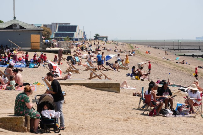 People on beach in sunny weather.