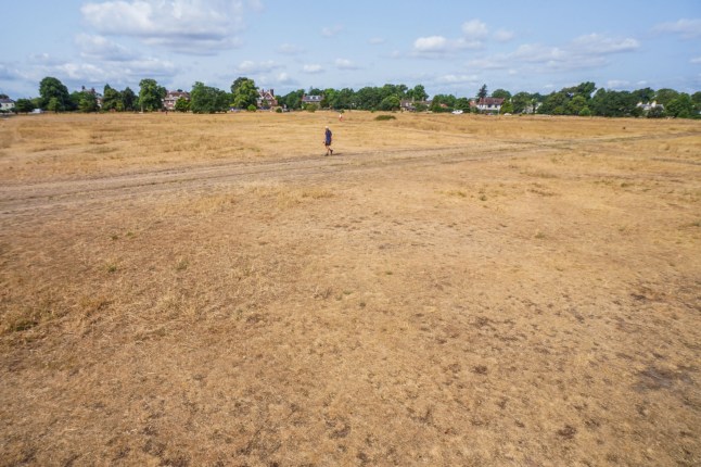 Mandatory Credit: Photo by Amer Ghazzal/Shutterstock (15398533k) A view of Wimbledon Common, south west London looking parched due to a prolonged period without rain. Thames Water has announced a hosepipe ban for Southern England as a record dry spring and summer has severely reduced water supplies and depleted reservoirs Thames announces hosepipe ban for Southern England, Wimbledon, London, United Kingdom - 14 Jul 2025