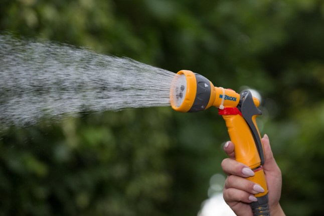 A hosepipe spraying out water.