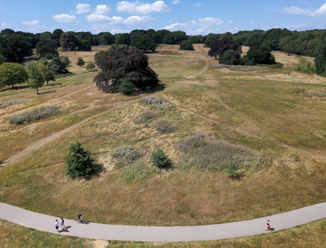 epaselect epa12245263 An image made with a drone shows people walking through parched dry grass on Hampstead Heath in London, Britain, 18 July 2025. In June, England experienced a 20 percent decrease in rainfall compared to the long-term average, marking the hottest month on record, according to UK Environment Agency. Due to declining reservoir levels, South East Water, Southern Water, Yorkshire Water, and Thames Water have imposed and are planning to impose hosepipe and sprinkler bans, affecting millions of customers. EPA/NEIL HALL