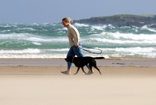 A person walks their dog during Storm Floris on the north coast of Northern Ireland, Portstewart, August 4 2025. REUTERS/Cathal McNaughton
