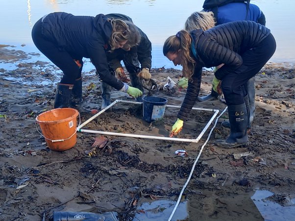 EMB: 180 tons of wet wipes being pulled from the Thames