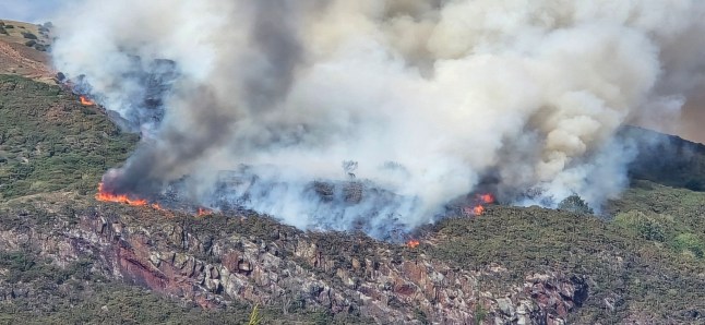 Arthur's Seat Edinburgh: Huge gorse fire breaks out as people 'run down hill' Orange flames can be seen from the top of the iconic landmark in the capital, with one eye witness reporting witnessing people 'running down the hill' as the blaze 'spreads rapidly' picture: @mikeycubed PERMISSION GIVEN TO METRO