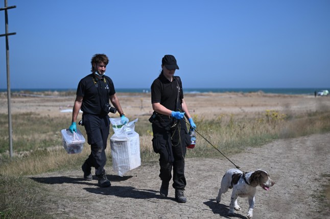 Sniffer dogs on a beach on the Isle of Sheppey.