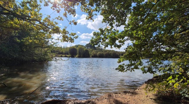 Man, 27, dies after drowning while swimming at Nuneaton beauty spot post thumbnail image