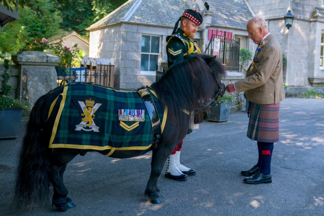 King Charles III meets Shetland pony Cpl Cruachan IV (mascot of the Royal Regiment of Scotland) during an inspection of the Balaklava Company, 5th Battalion, The Royal Regiment of Scotland, at the gates of Balmoral, as he takes up summer residence at the castle. Picture date: Monday August 18, 2025. PA Photo. Photo credit should read: Jane Barlow/PA Wire