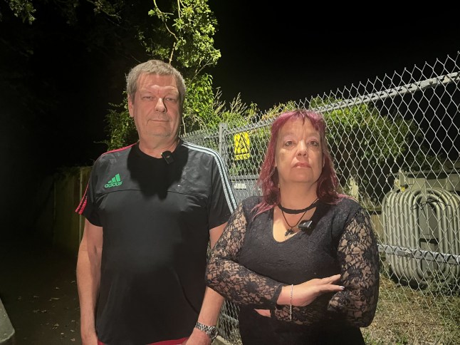 Is the Croydon Cat Killer back? Data shows he never left Picture: Brooke Davies metro.co.uk
