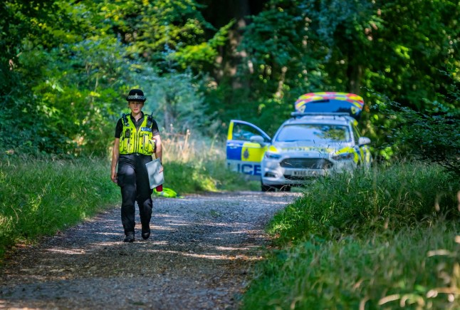 Savernake forest with a police guarding the cordon.