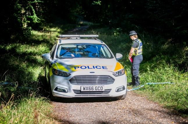 Savernake forest with a police guarding the cordon.