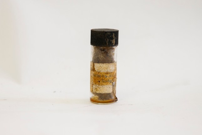 Undated handout photo issued by Great Ormond Street Hospital (GOSH) of a vial of tree seeds, one of the items contained in a time capsule buried by Diana, Princess of Wales at the hospital in March 1991. The contents, which were provided by two young people who won a national competition, include a pocket television, a solar-powered calculator, a photo of Diana, Princess of Wales, and a Kylie Minogue CD. Issue date: Wednesday August 27, 2025. PA Photo. Photo credit should read: Great Ormond Street Hospital/PA Wire NOTE TO EDITORS: This handout photo may only be used for editorial reporting purposes for the contemporaneous illustration of events, things or the people in the image or facts mentioned in the caption. Reuse of the picture may require further permission from the copyright holder.