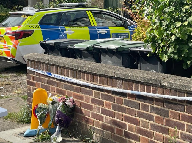 Neighbours have paid tribute to a ?warm hearted and peace loving? pensioner found strangled at his south London home. Emergency services were scrambled to Wellmeadow Road at 1am on Sunday. They found Brian Hunt, 87, dead at his home. Vasile Iosebica, 47, who was known to the victim had been charged with murder.