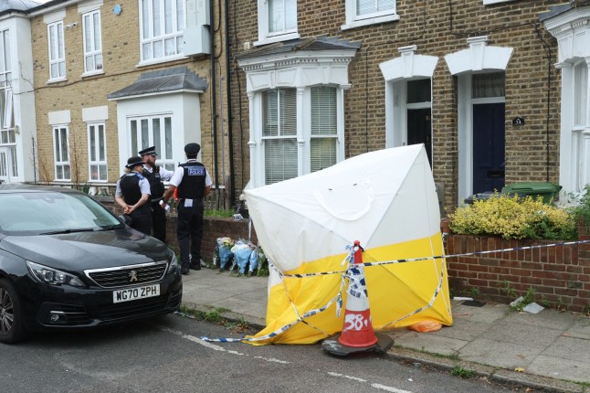 Murder arrest after man, 26, stabbed to death at home in Lewisham stabbing