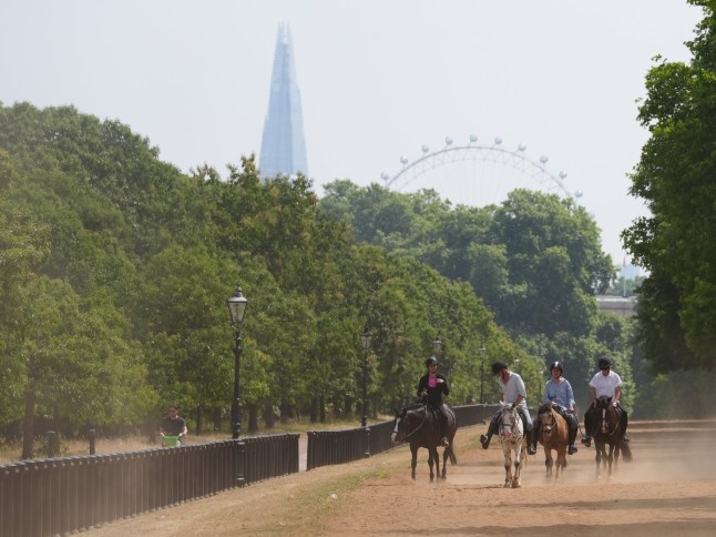 People on horseback in the dry conditions in Hyde Park in London. More sweltering temperatures are forecast for southern and eastern parts of England on Tuesday after highs of more than 33C rounded off June. Picture date: Tuesday July 1, 2025. PA Photo. Photo credit should read: Jonathan Brady/PA Wire