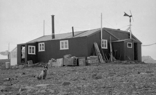 ell was working at Admiralty Bay Base on King George Island. 1951. The remains of an Antarctic researcher have been discovered by a Polish team among rocks exposed by a receding glacier in Antarctica. They are identified by DNA as those of Dennis ?Tink? Bell, a 25 year-old meteorologist who was working for the Falkland Islands Dependencies Survey (FIDS), the predecessor of the British Antarctic Survey (BAS). He died in a crevasse on a glacier at Admiralty Bay on King George Island, situated off the Antarctic Peninsula on 26 July 1959. His body was never recovered.