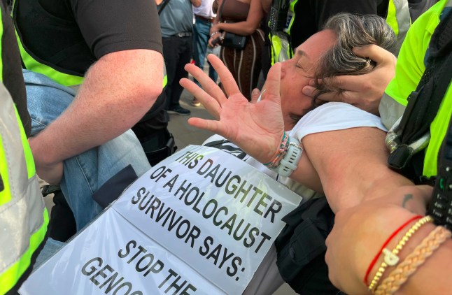 Carolyn Gelenter was among more than 900 people detained at a rally opposing the ban on the group in Parliament Square on Saturday. The 67-year-old was mid-interview speaking about how not all Jewish voices were being heard when officers detained her under anti-terror laws for allegedly supporting the proscribed group.
